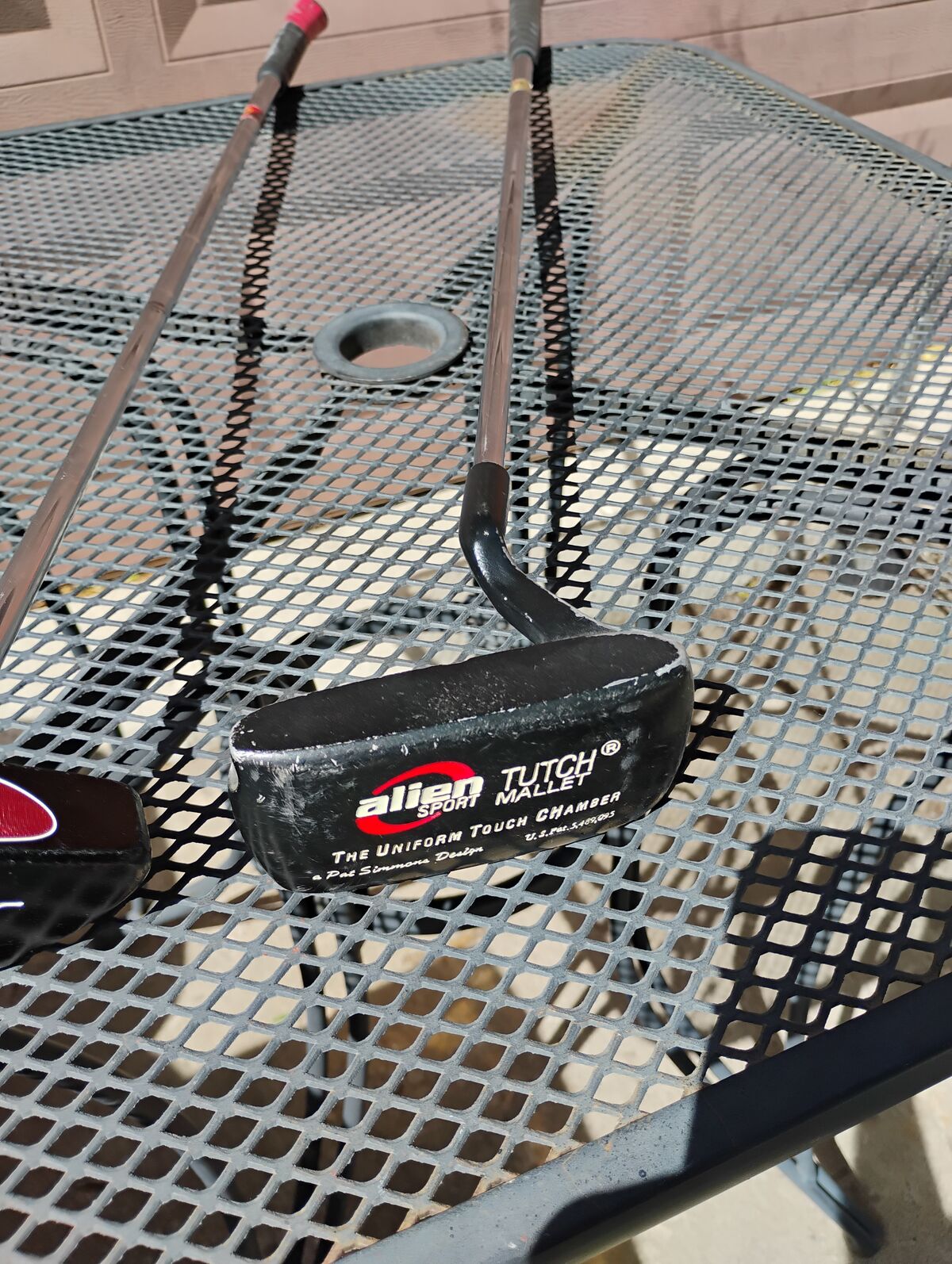 Alien Sport Tutch Mallet Putter