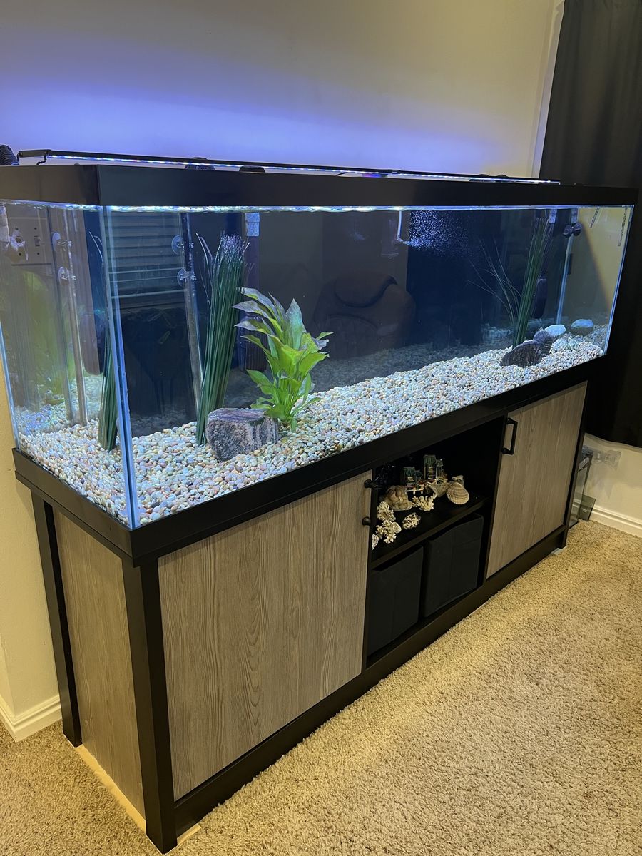125 gallon tank, stand
