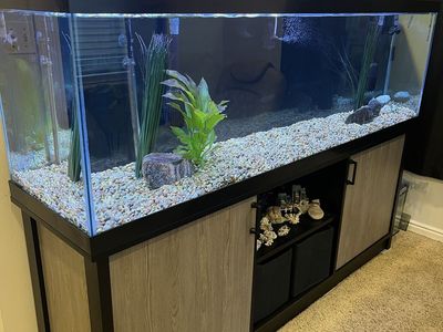 125 gallon tank, stand
