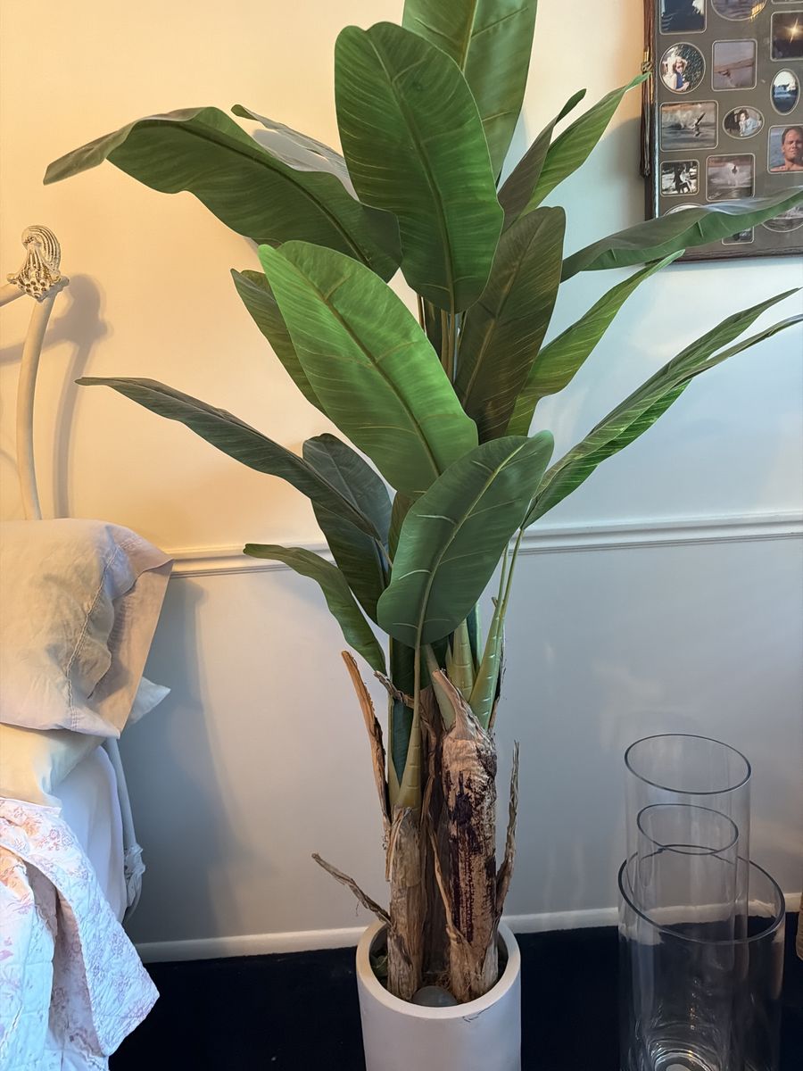 Fiddle leaf tree (artificial)