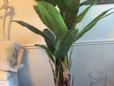 Fiddle leaf tree (artificial)