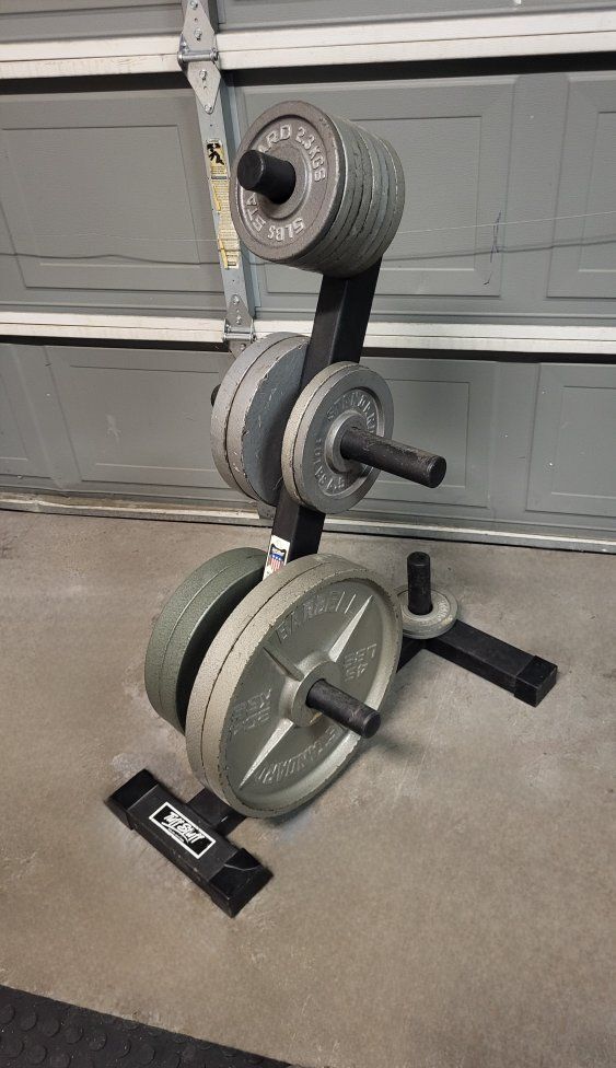 weight plates 275 pounds