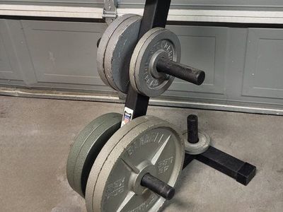 weight plates 275 pounds