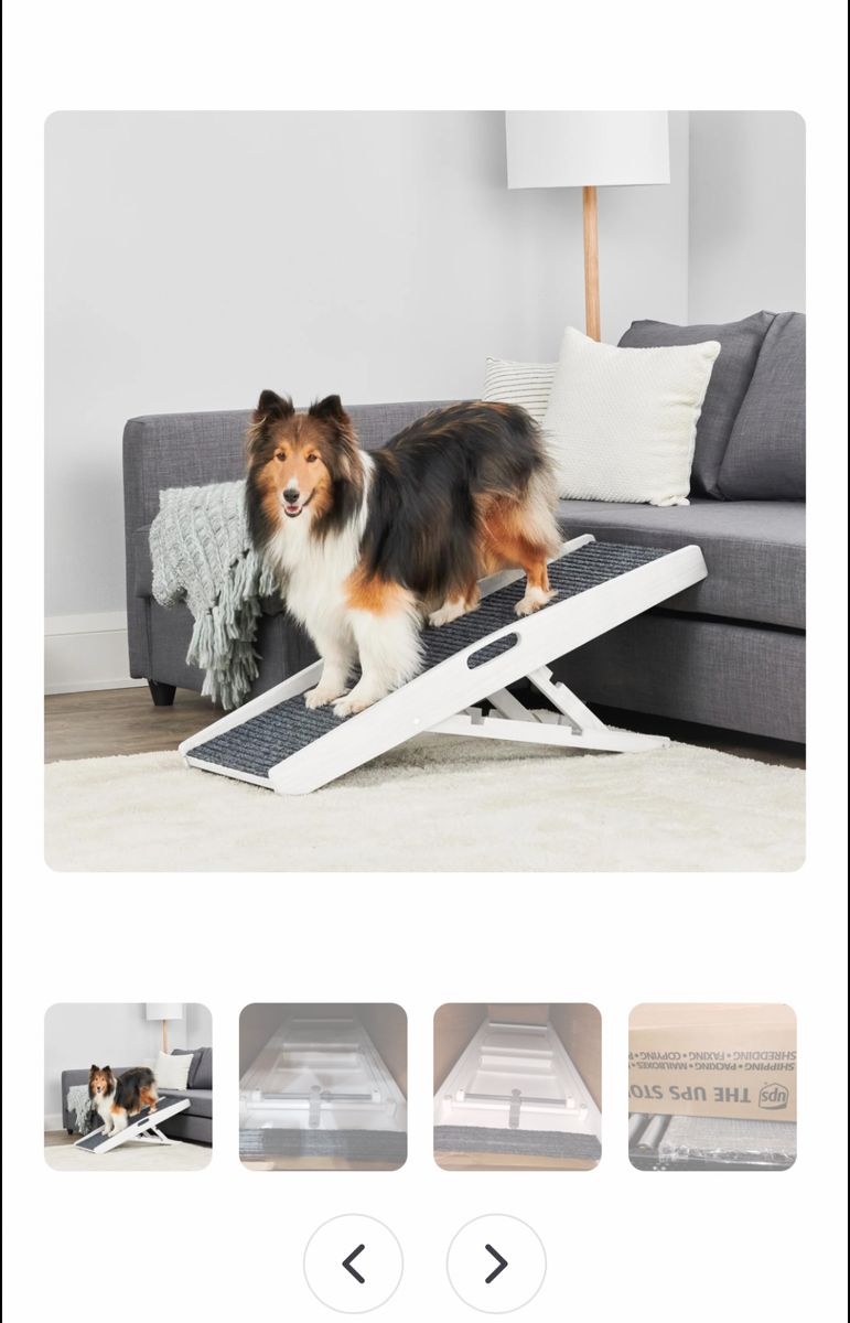 Carlson 39.5” indoor pet ramp