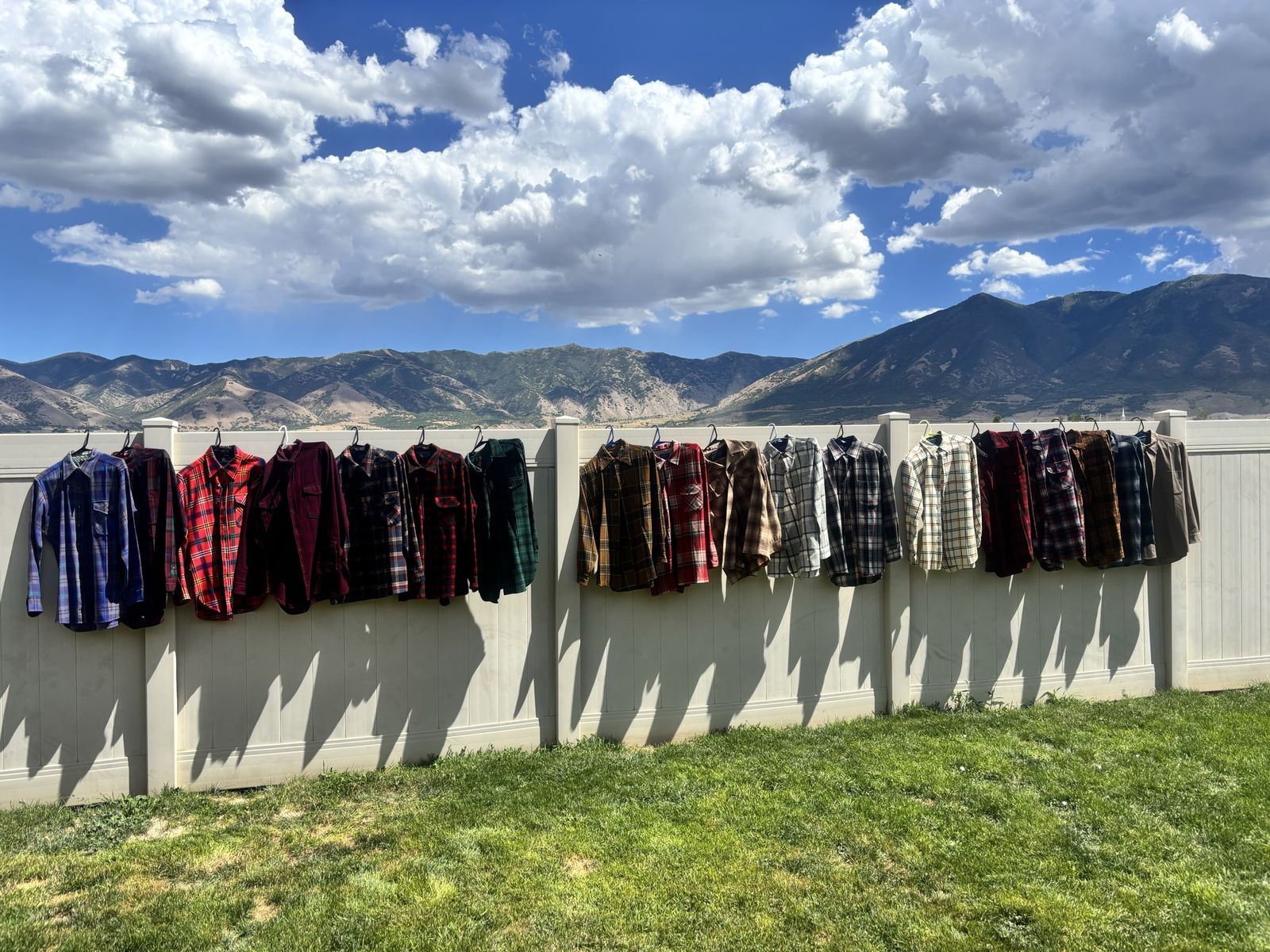 Medium Pendleton Board Shirts
