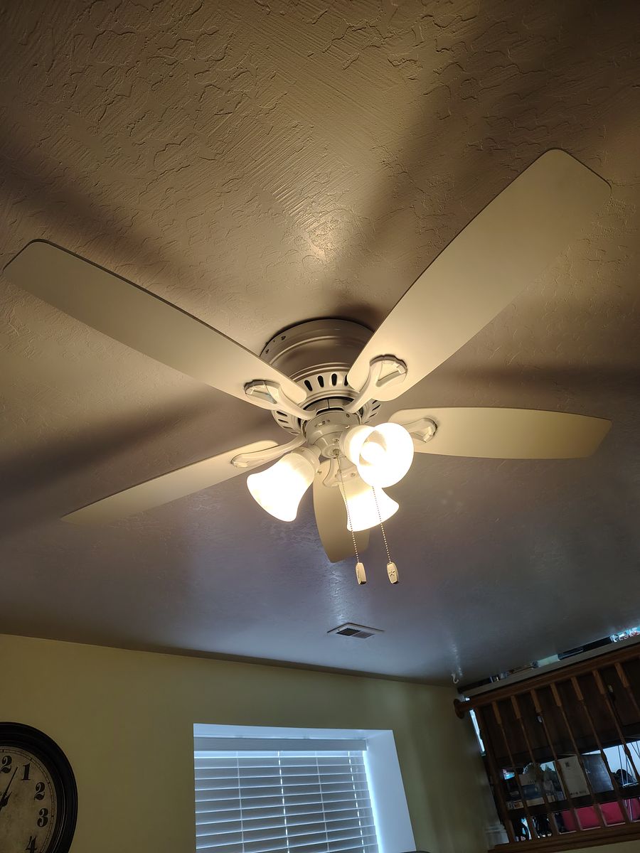 Ceiling fan