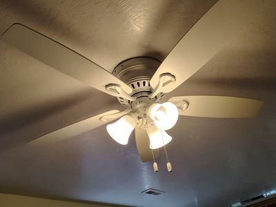 Ceiling fan