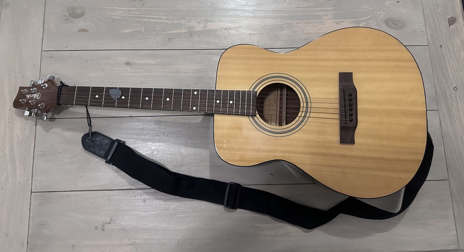 Telluride TF-3 acoustic guitar