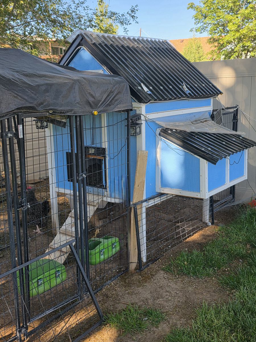 Chicken coop