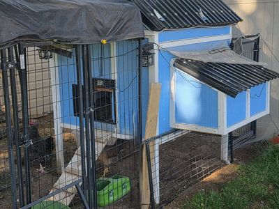 Chicken coop