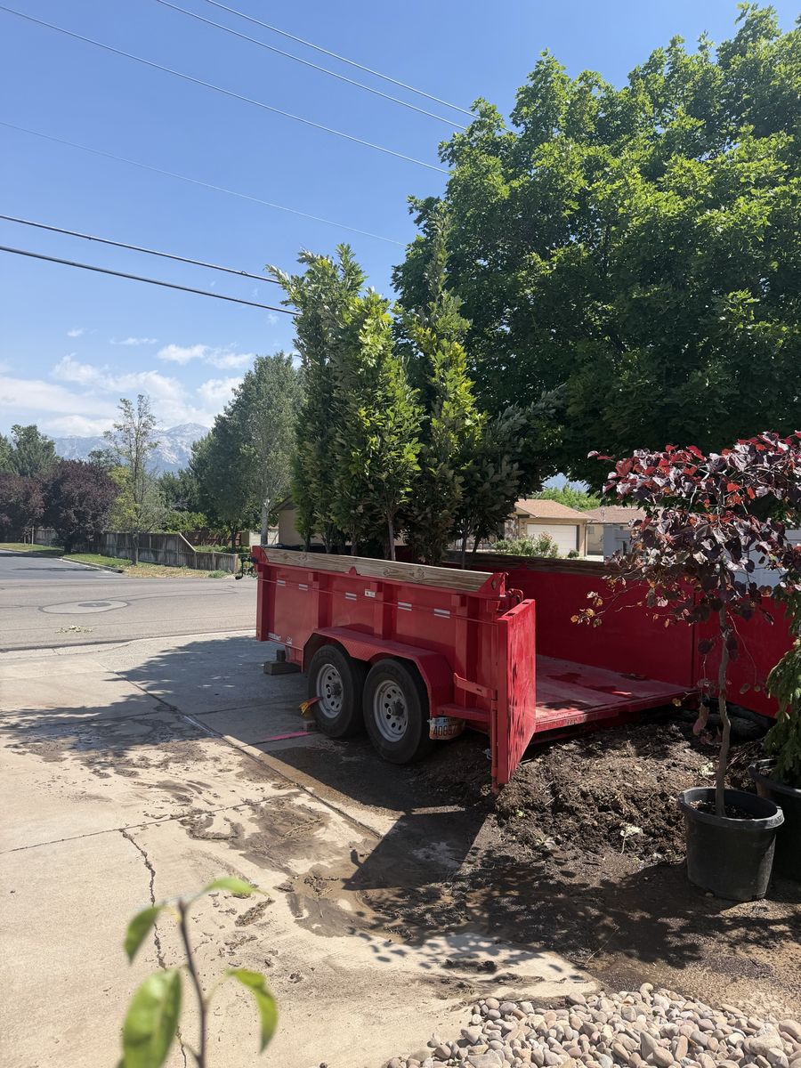 #15 9-10’ Kindred Spirit Oaks for sale