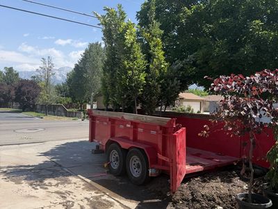 #15 9-10’ Kindred Spirit Oaks for sale