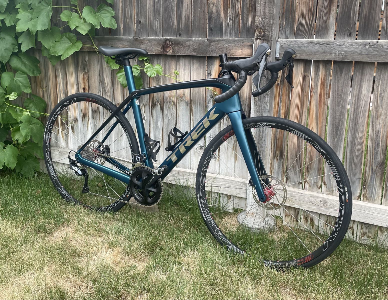 2023 Trek Domane SL6 Gen 3 (54cm)