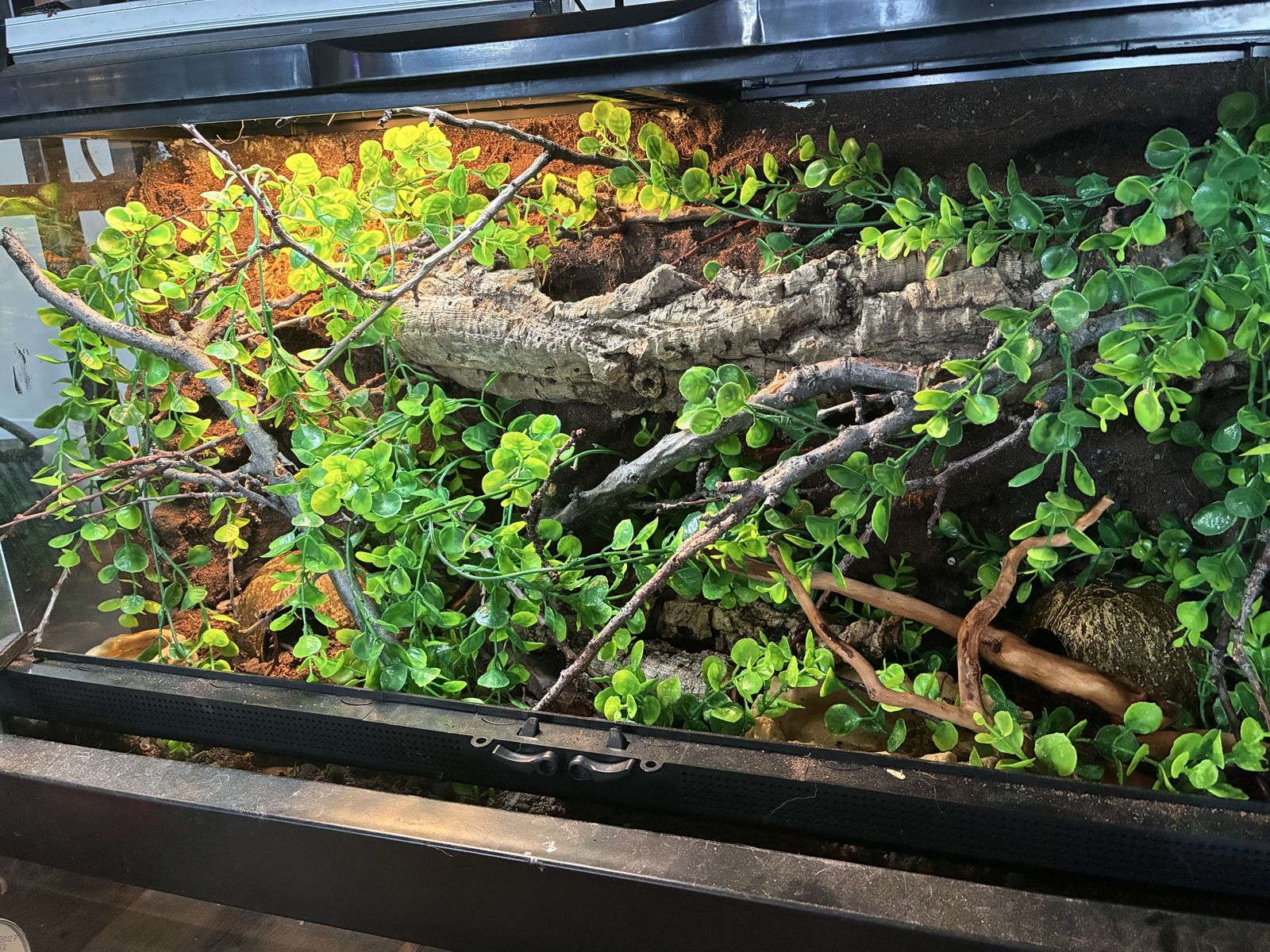Front opening tanks (sale or trade)