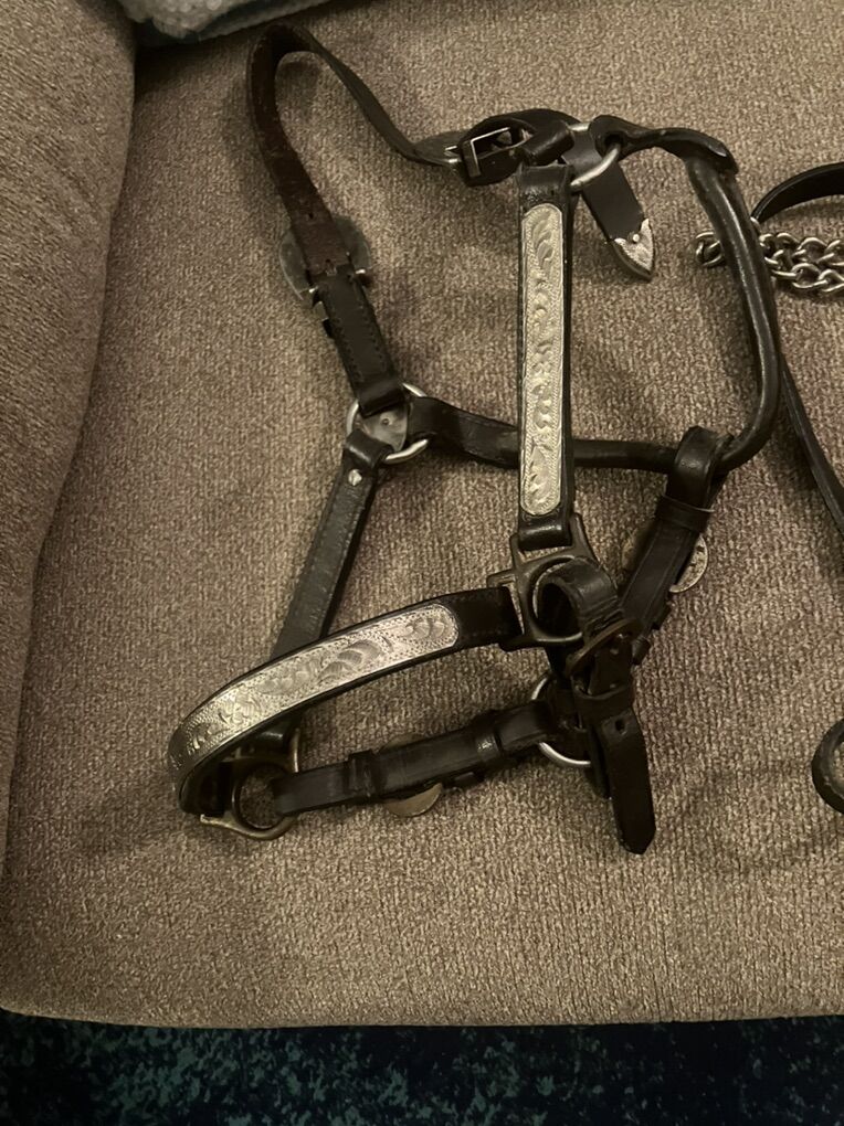 Pony Show Halter & Lead