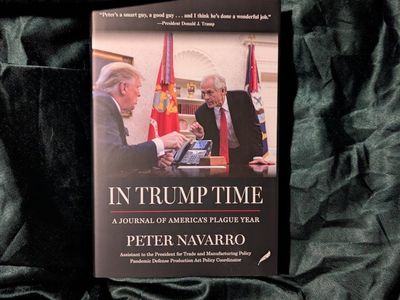 In Trump Time: A Journal of America's Plague Year by Peter Navarro (Hardcover, Non-Fiction)