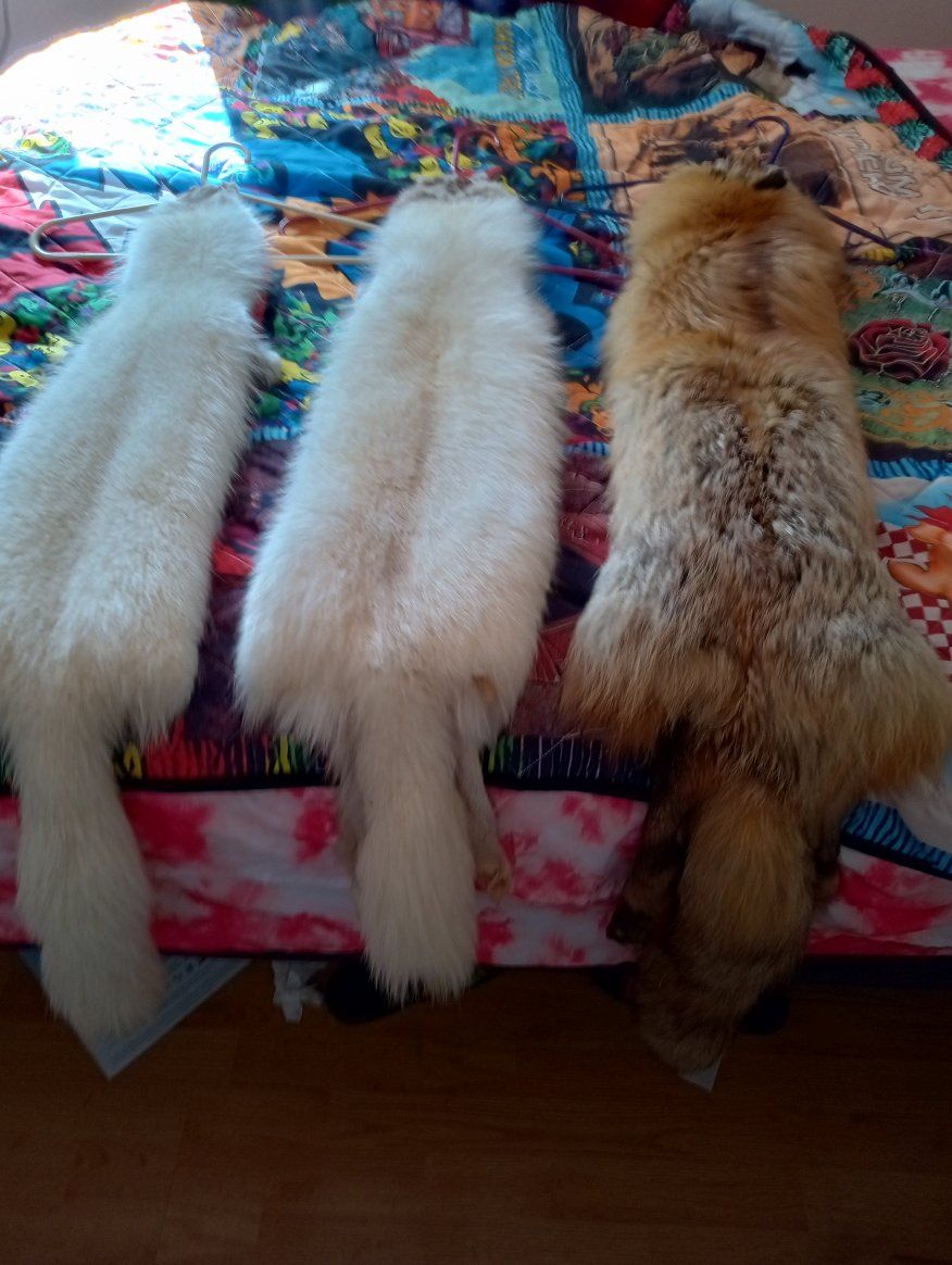 Three Vintage Full Fur Pelts - White & Red Fox - 12" Long, 6" Wide - With Closures