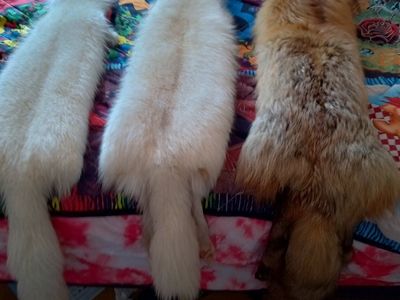 Three Vintage Full Fur Pelts - White & Red Fox - 12" Long, 6" Wide - With Closures