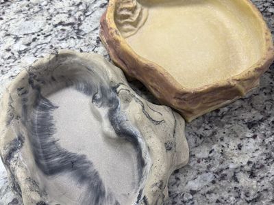 Reptile Water Bowls