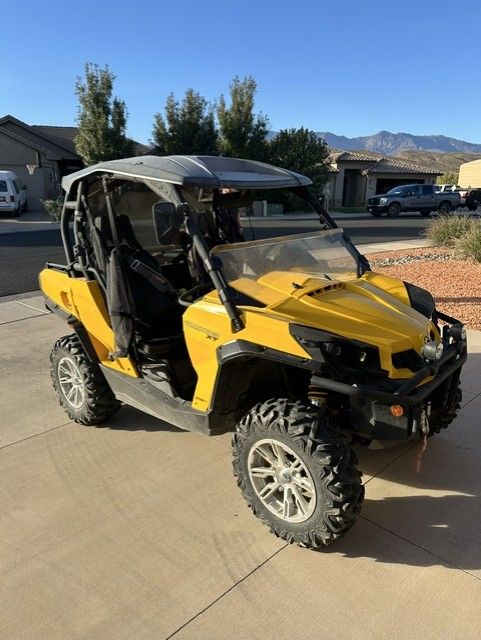 Side by Side for sale
