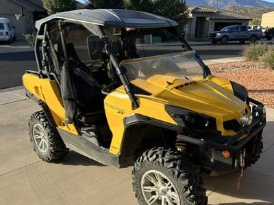 Side by Side for sale