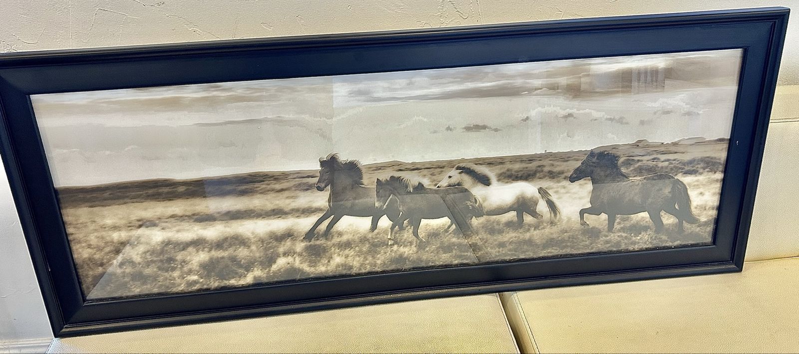 Icelandic Wild Horses Framed Photo