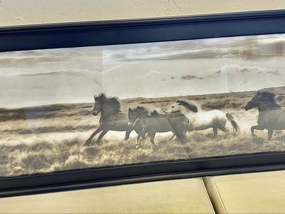 Icelandic Wild Horses Framed Photo