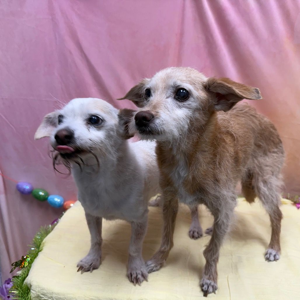 Hello my name is Fred