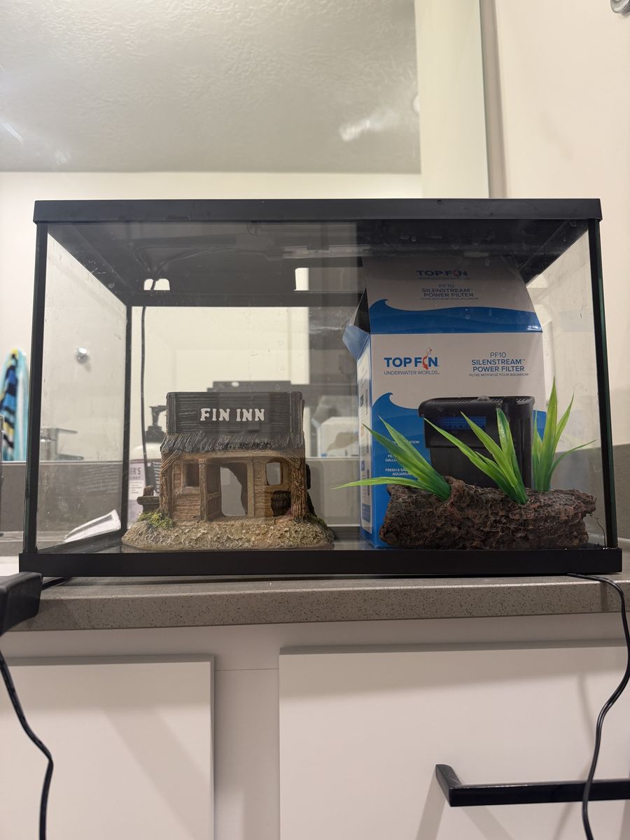 5 Gallon tank with water filter and decorations