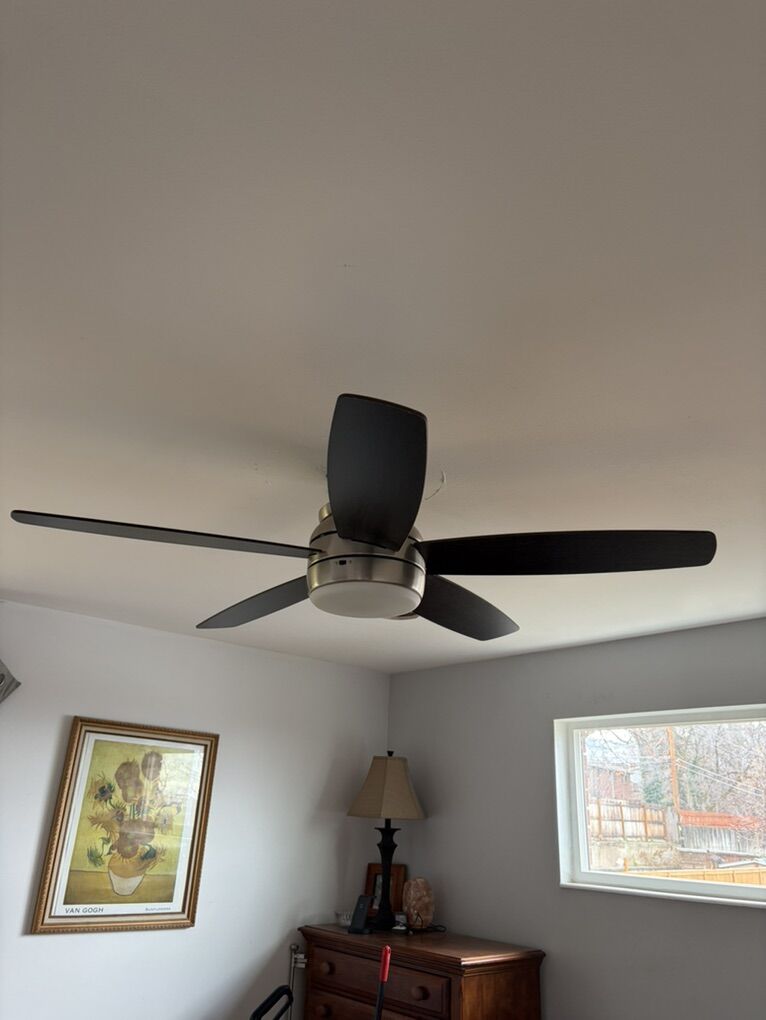 Ashby Park 52in Ceiling Fan