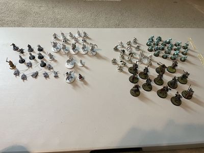 Middle Earth Strategy Battle Game - Rohan Army - Includes GW models and some 3D prints