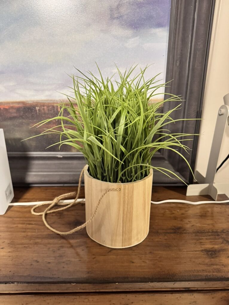 Faux Plant