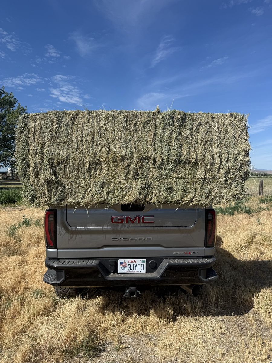 3x3 alfalfa hay