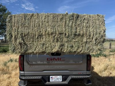 3x3 alfalfa hay