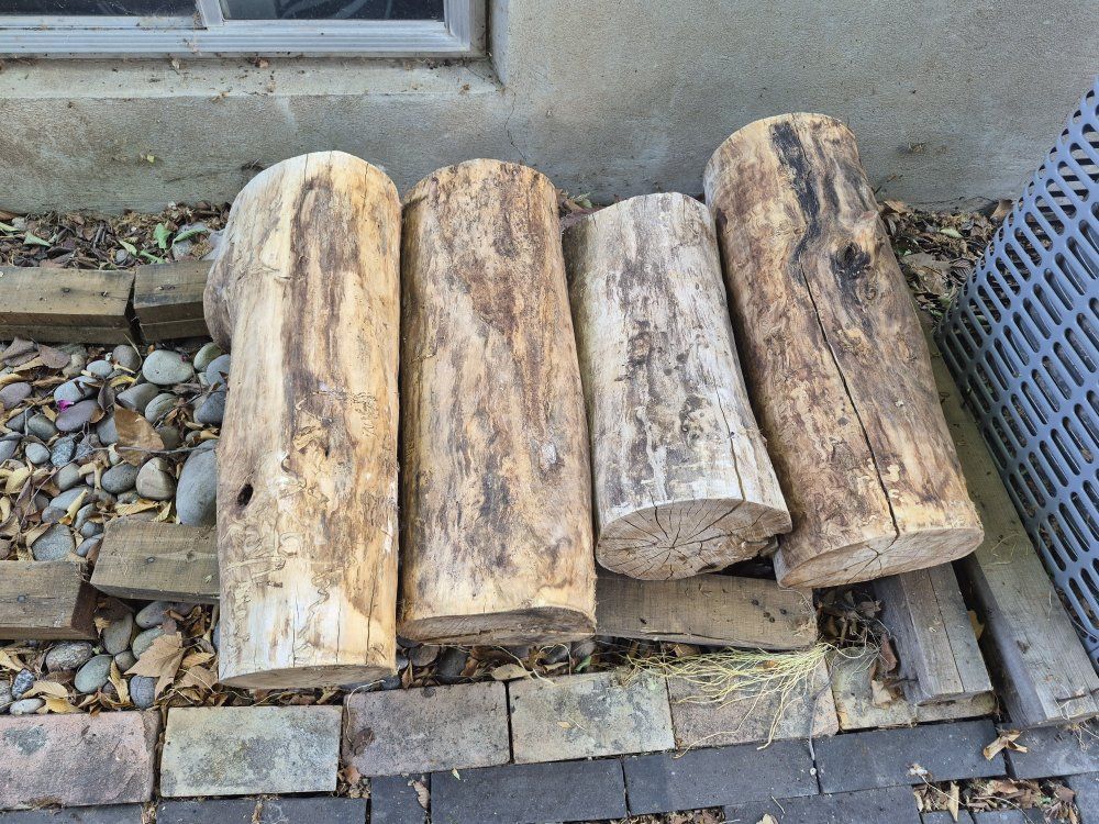 Cottonwood Stumps,  $15.00 each