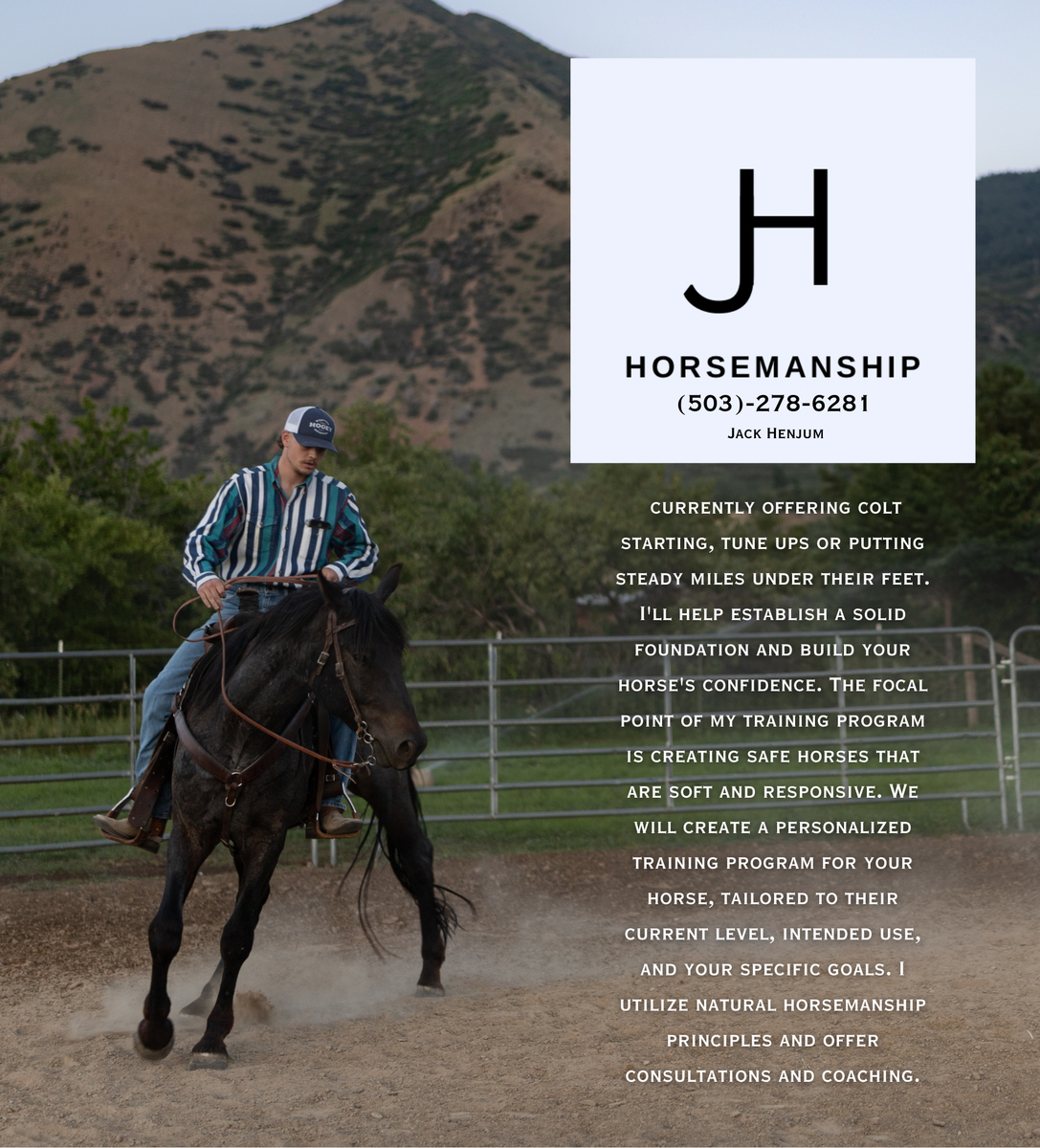 Horse Training / Colt Starting