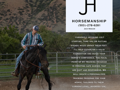 Horse Training / Colt Starting