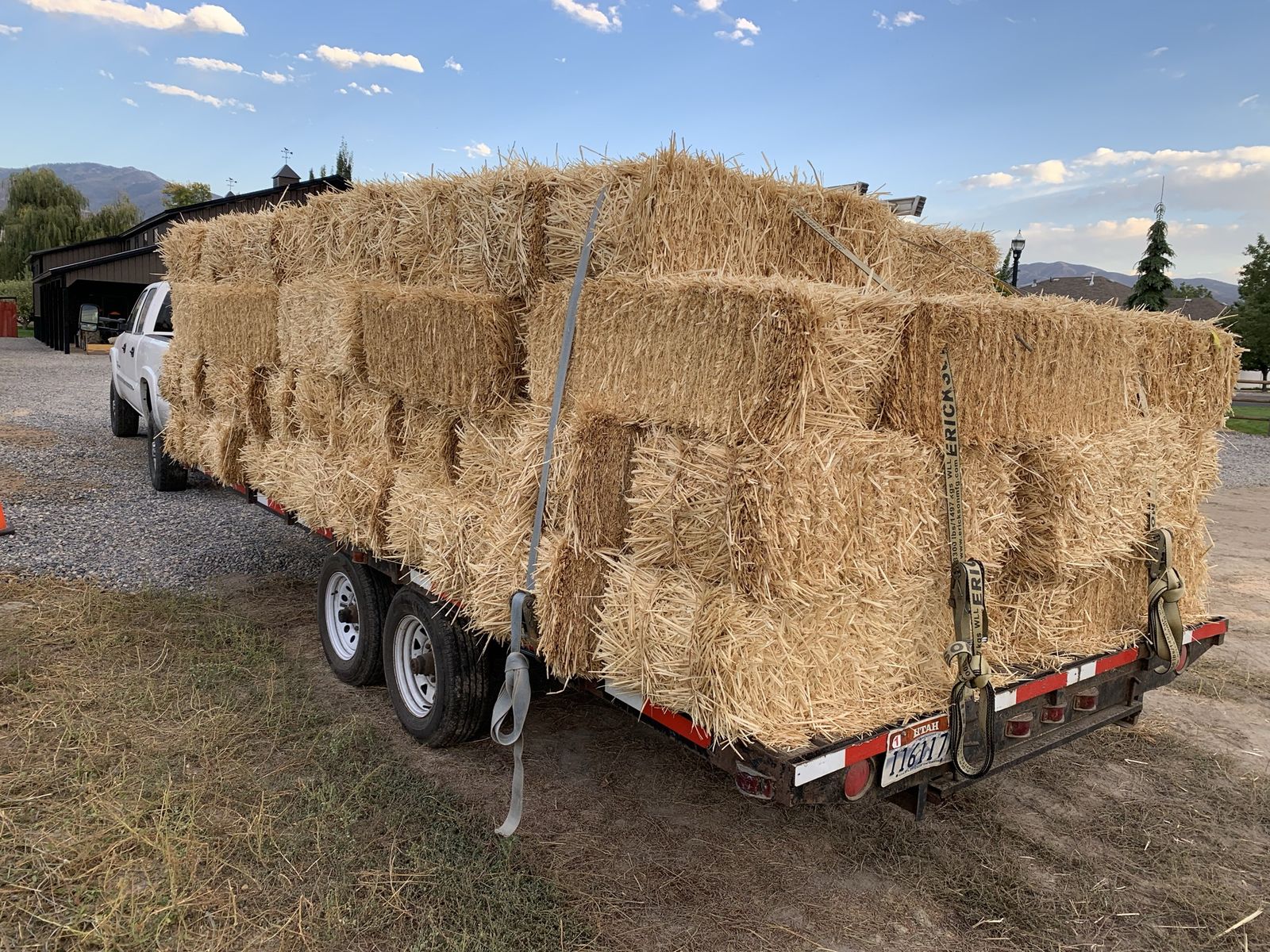 Organic Wheat Straw