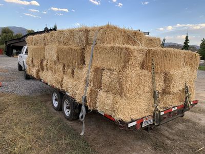 Organic Wheat Straw