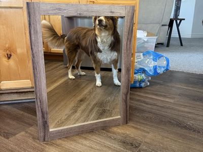 Rustic Wood Medicine Cabinet