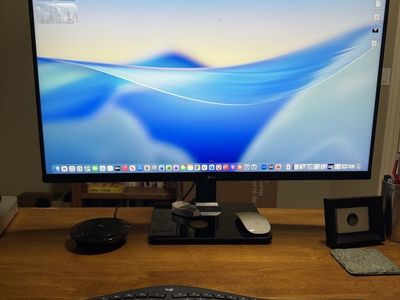 32" LG 4K UHD Monitor (32UN500-W) - 2020 Model - Great for Home Office