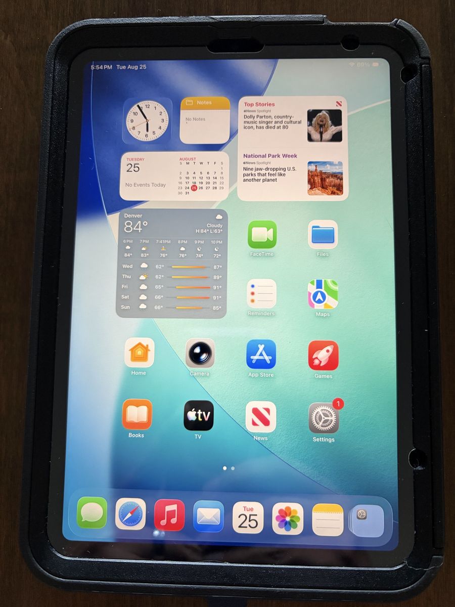 Apple iPad Mini A17 Pro 256GB WiFi & Cellular with Otterbox