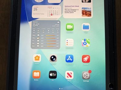 Apple iPad Mini A17 Pro 256GB WiFi & Cellular with Otterbox