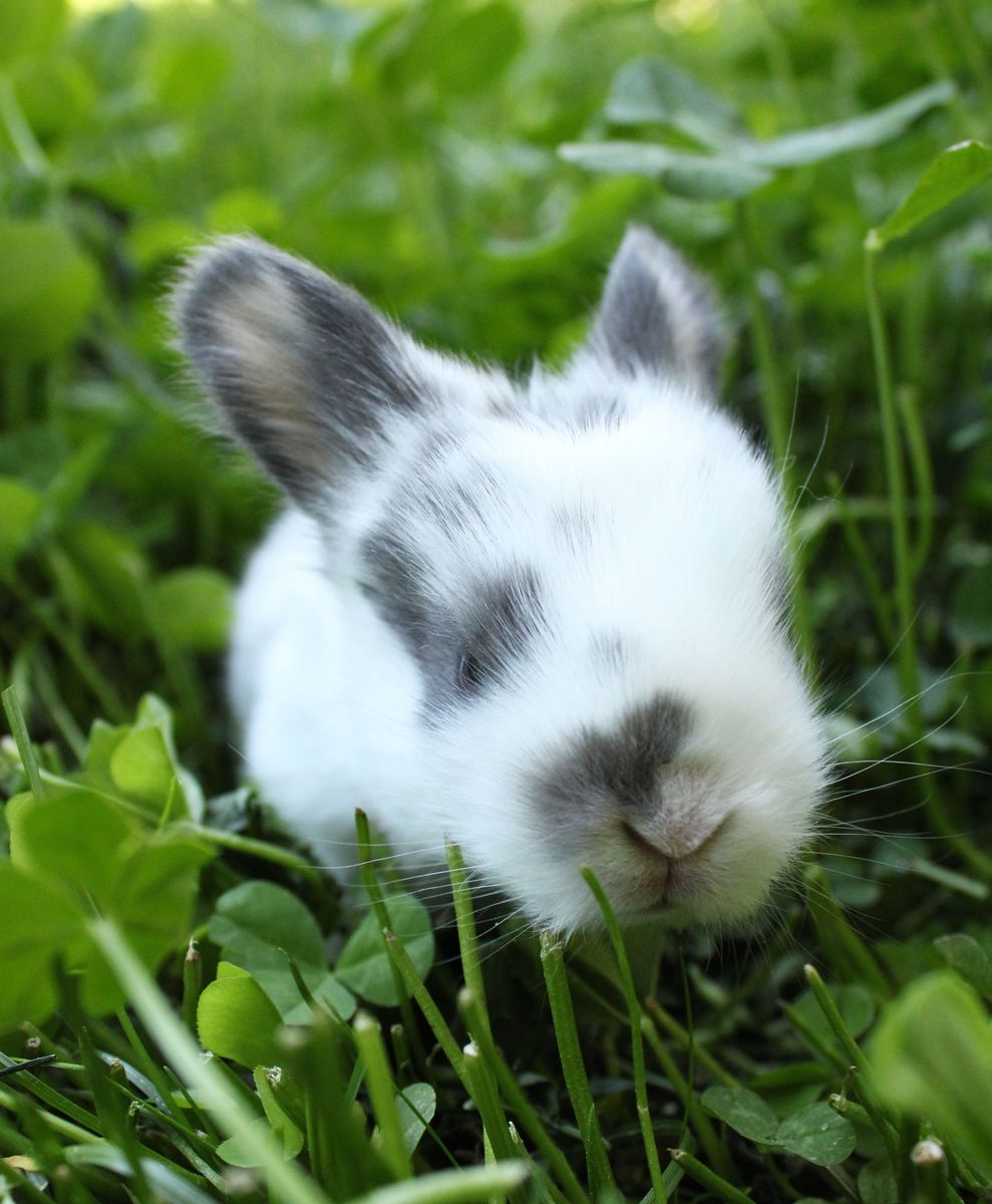 Main image 17