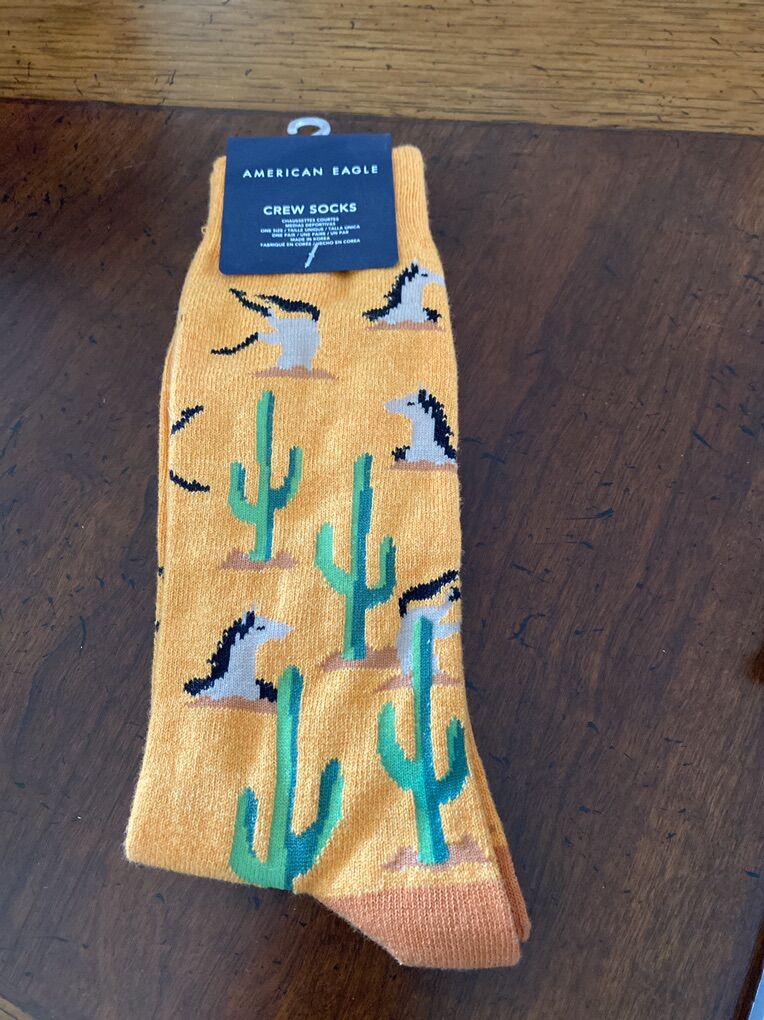American Eagle Socks