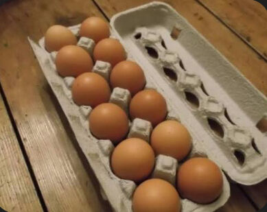 Chicken eggs