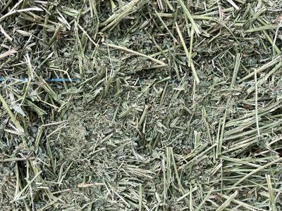 2nd cut alfalfa