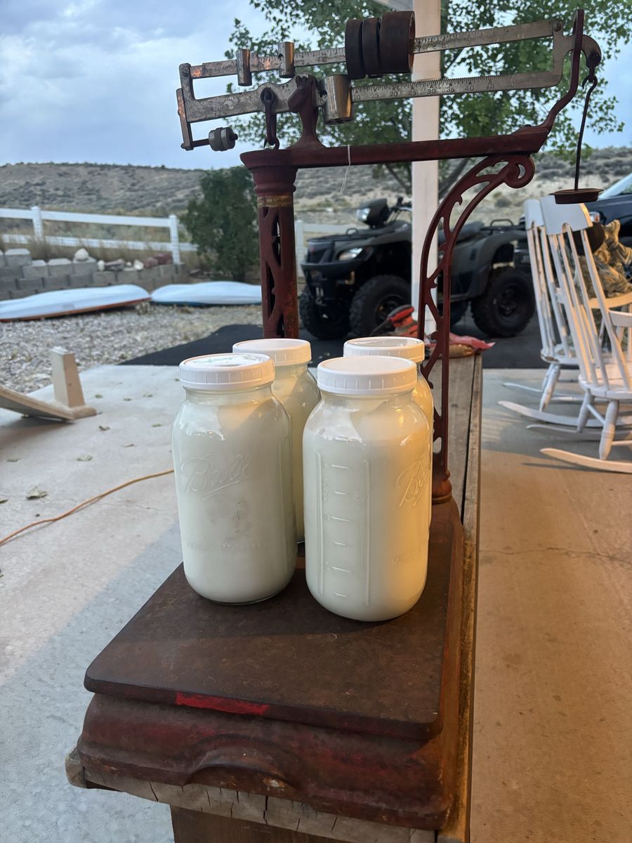 Unfiltered Craft goat milk