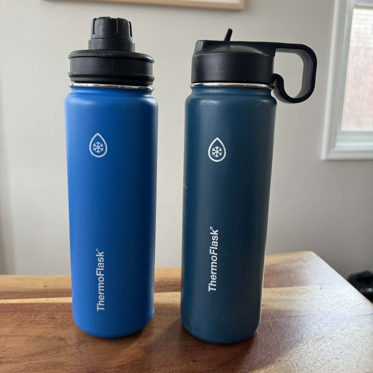 ThermaFlask Water Bottles - Lot of 2
