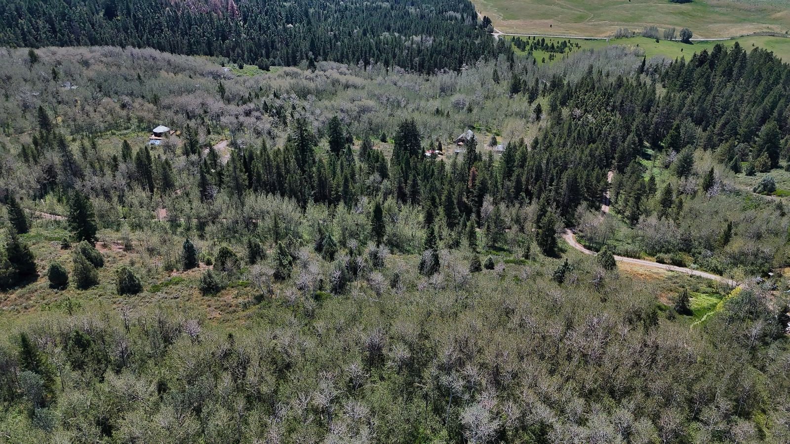 Main image 7